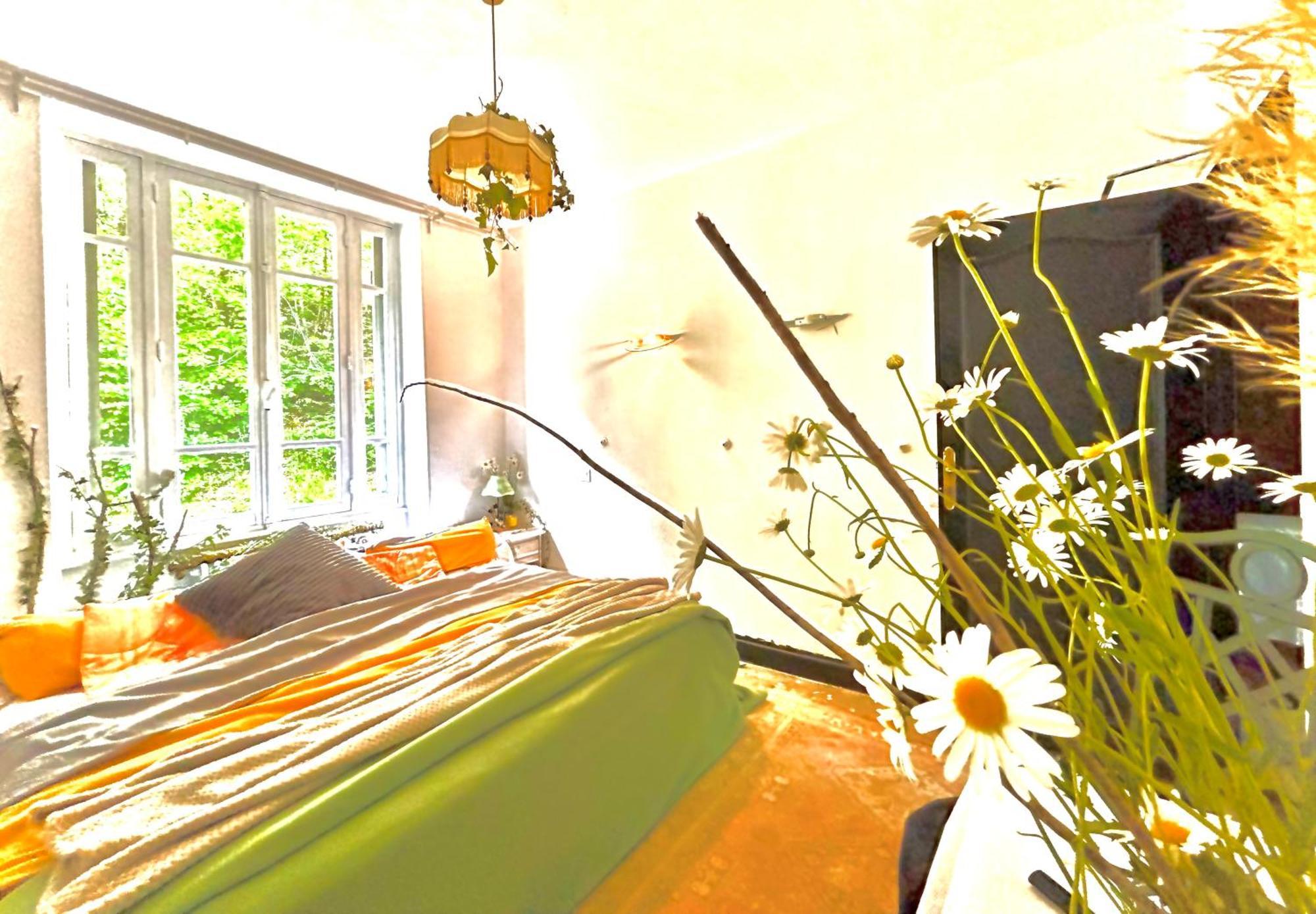 Le Chambon, Chambres D'Hotes Saint-Merd-de-Lapleau 外观 照片