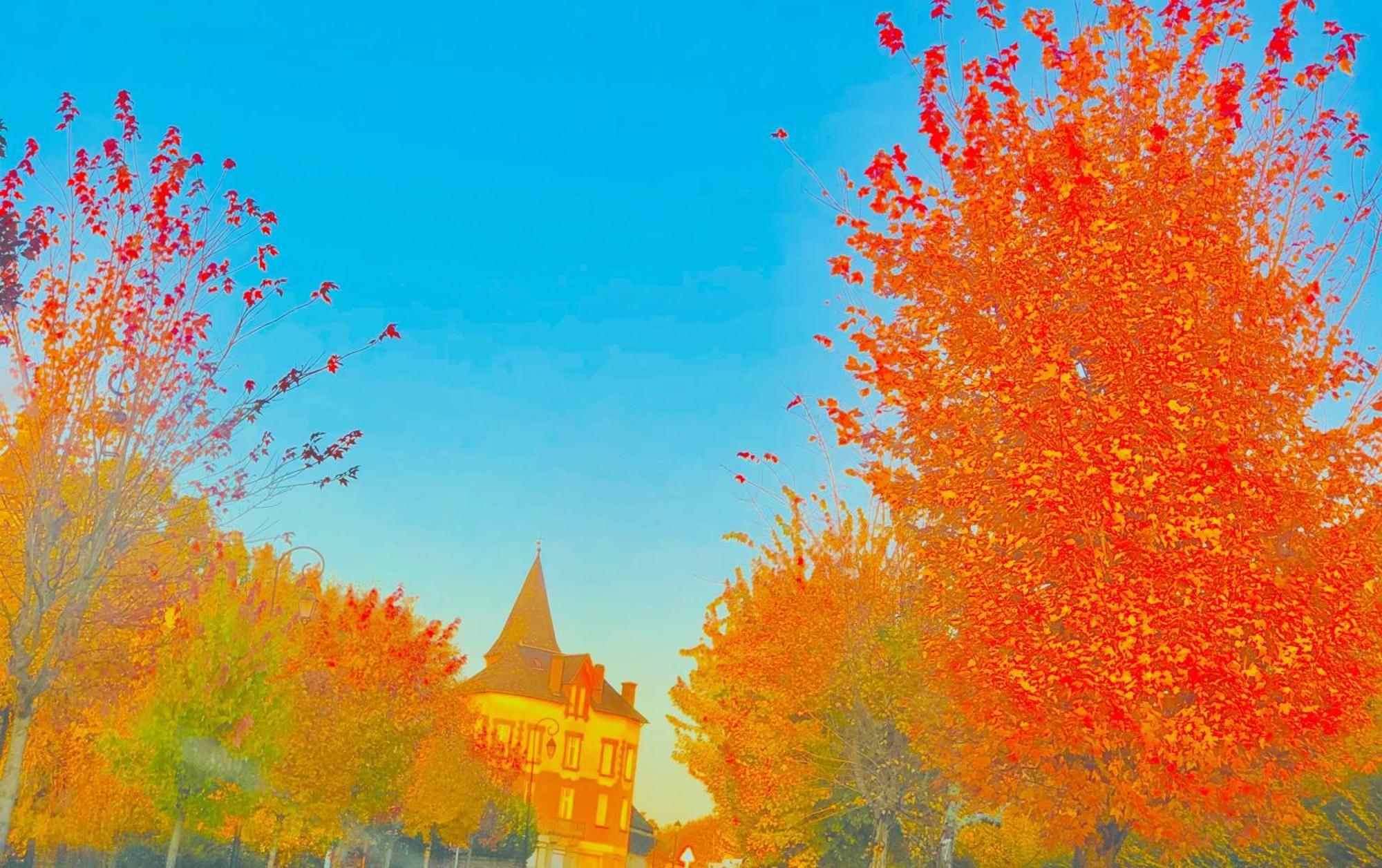 Le Chambon, Chambres D'Hotes Saint-Merd-de-Lapleau 外观 照片