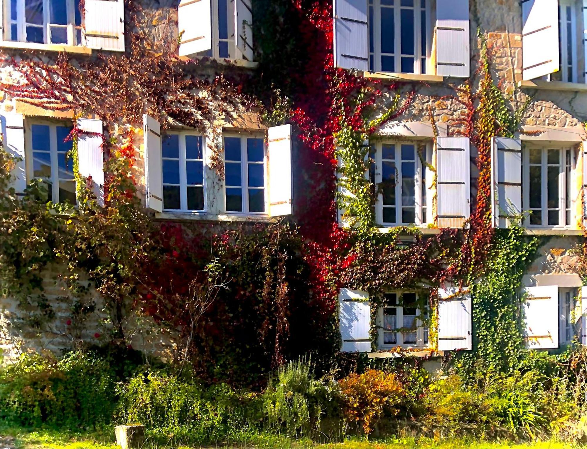 Le Chambon, Chambres D'Hotes Saint-Merd-de-Lapleau 外观 照片